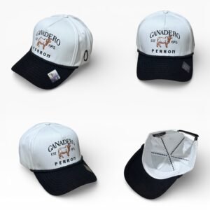 3704DCF4-013D-49D1-8D58-CF9896A413DD-Photoroom GORRA PERRON ORIGINAL