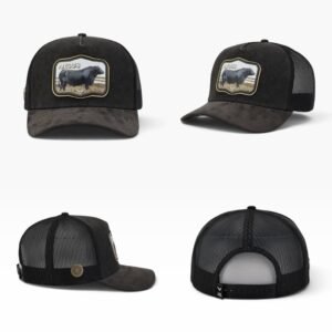 c090d0ea-7db7-45d1-aab0-513d626accba-photoroom GORRA RANCH & CORRAL ORIGINAL